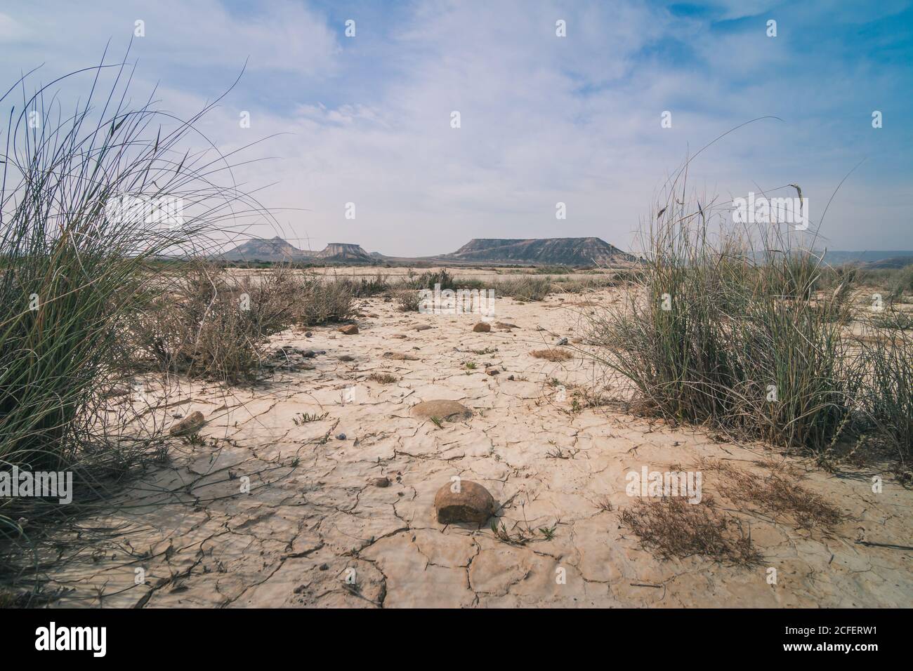 Paysage désertique étonnant avec une végétation sèche s'étendant au bleu nuageux Ciel et collines grises dans le semi-désert de Bardenas Reales Navarra Espagne Banque D'Images