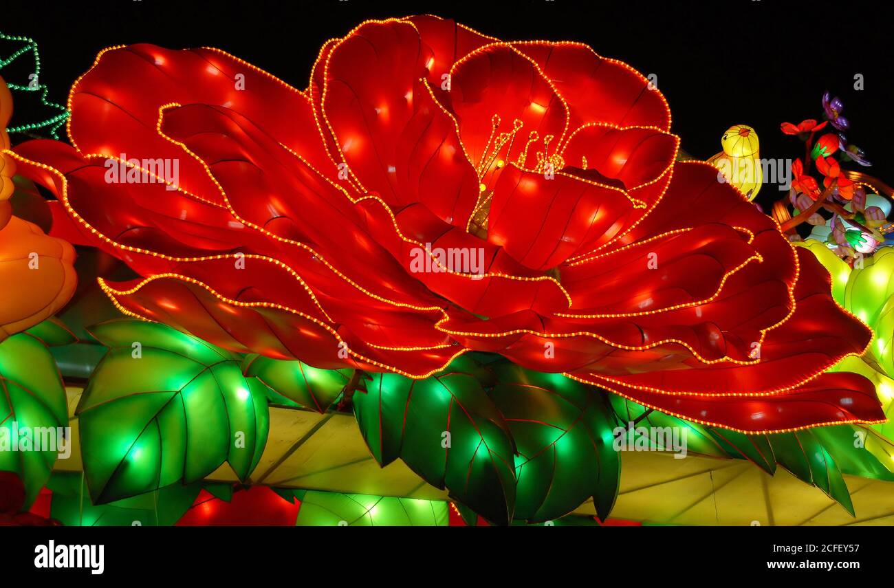 Le festival de lanterne Zigong à Zigong, Sichuan, Chine. Lanterne représentant une fleur rouge. Banque D'Images