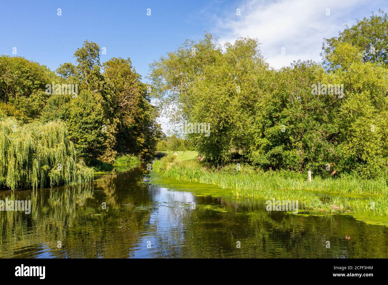 Vue sur la rivière Cam à Grantchester, un village pittoresque de Cambridgeshire, Royaume-Uni. Banque D'Images