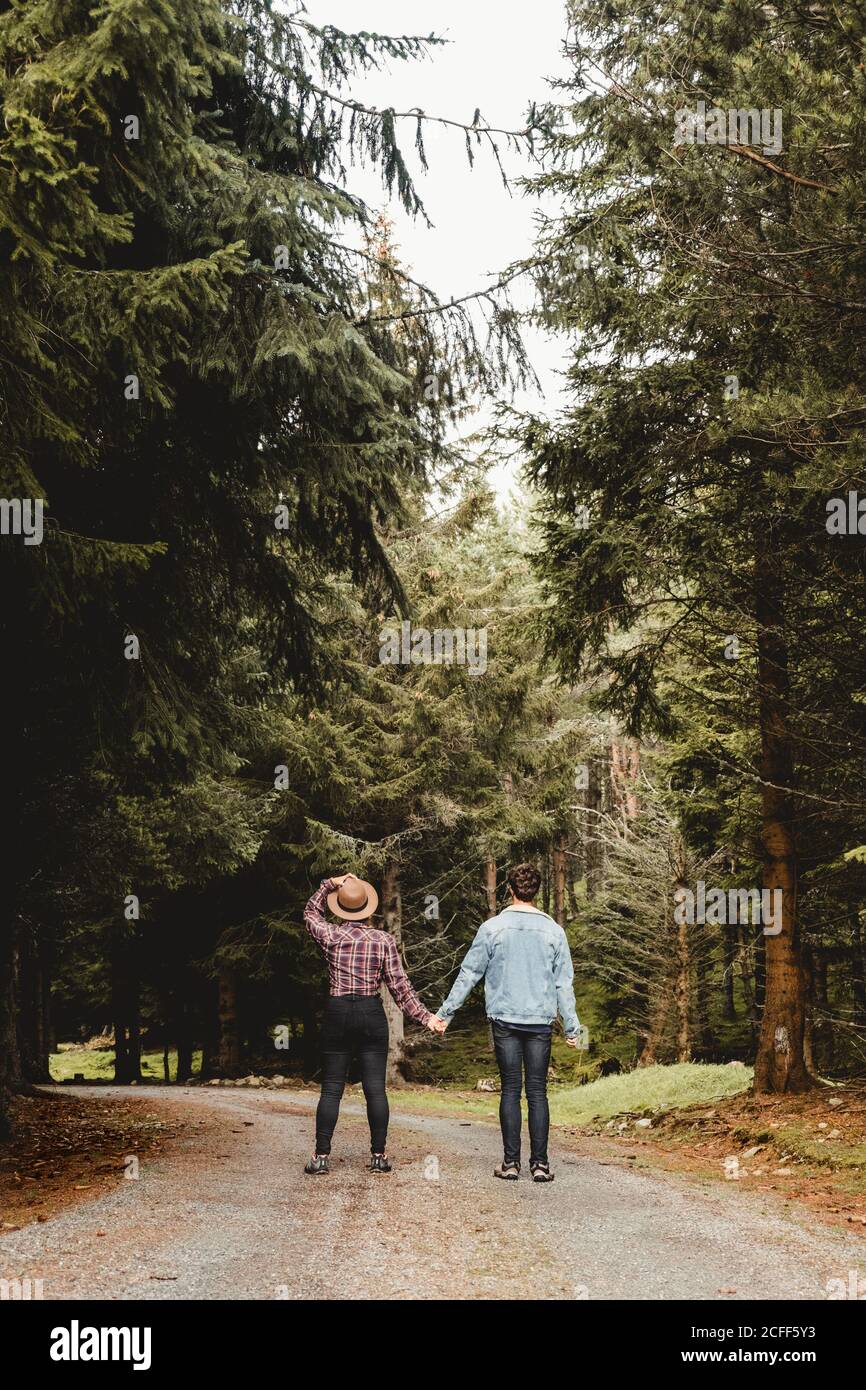 Vue arrière de jeunes voyageurs se tenant les mains pendant marche sur une route étroite au milieu de la forêt avec de hauts arbres d'épinette Pendant les vacances en Ecosse Banque D'Images