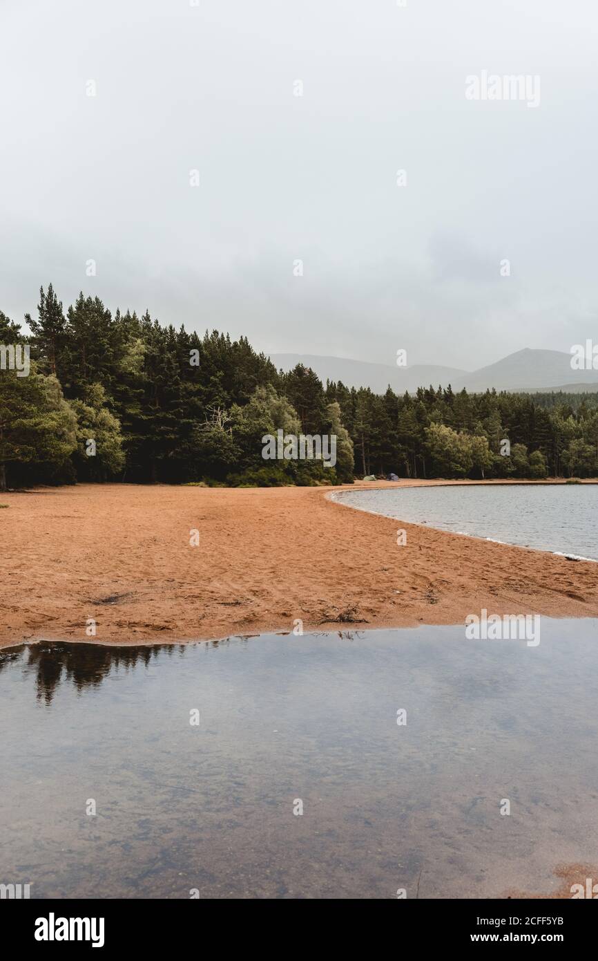 Paysage paisible et pittoresque de plage de sable et de forêt verte à Lac en Écosse avec des montagnes brumeuses en arrière-plan sur ciel nuageux jour avec ciel gris Banque D'Images