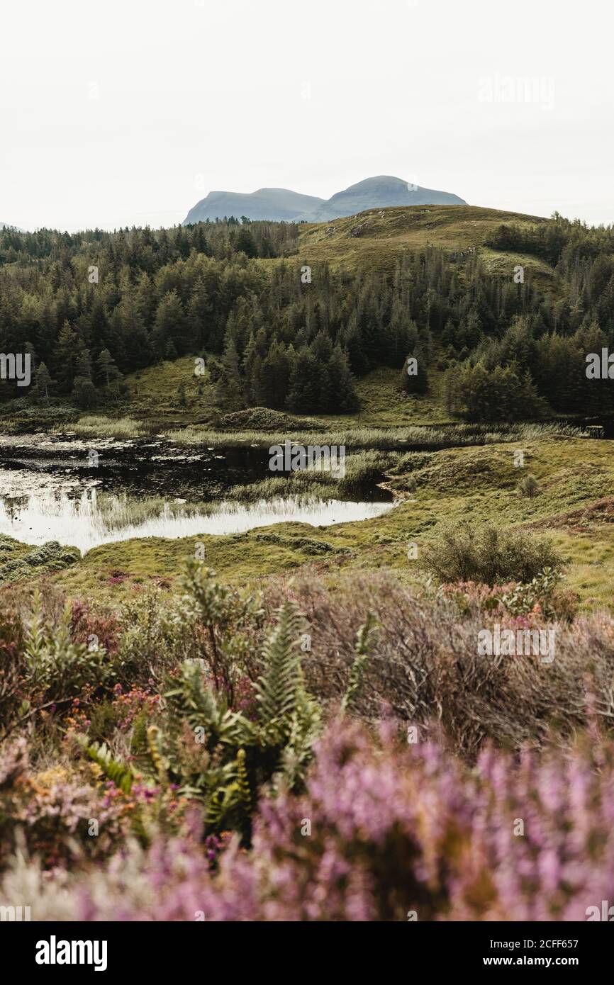 Magnifique paysage de montagnes sous de luxuriants nuages spectaculaires Banque D'Images