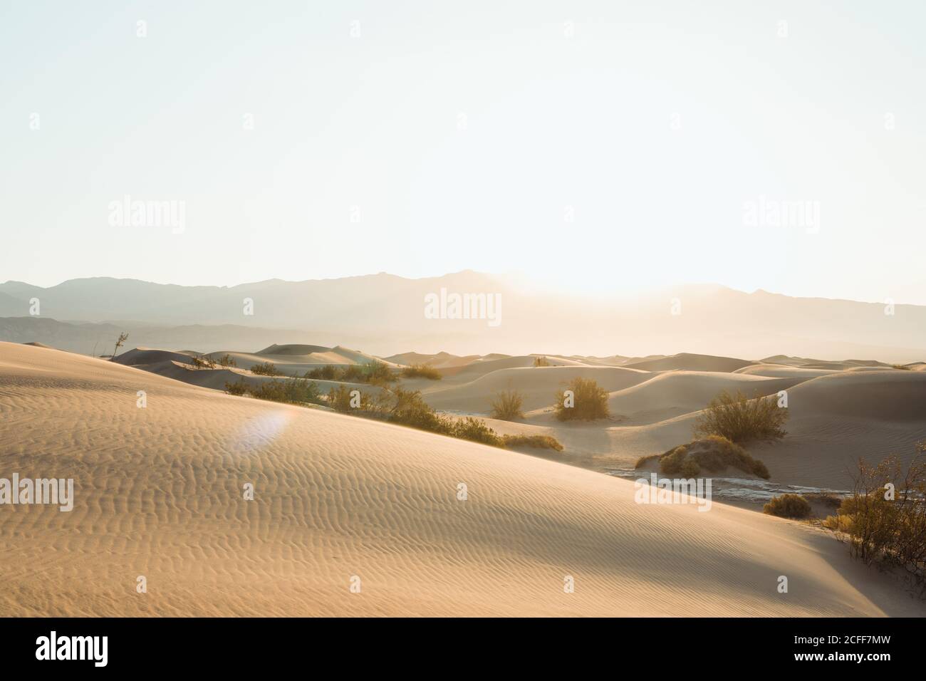 Désert dans les dunes de sable sec de la vallée de la mort aux États-Unis Banque D'Images