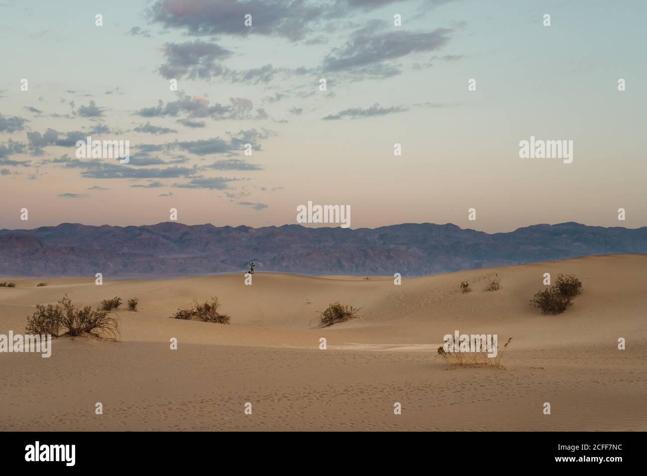 Désert dans les dunes de sable sec de la vallée de la mort aux États-Unis Banque D'Images