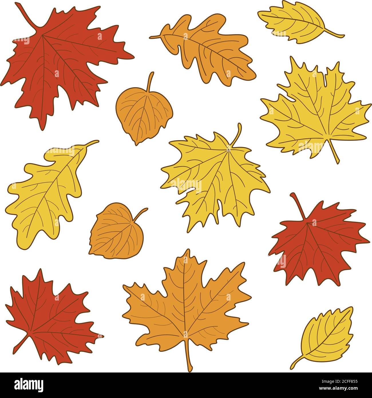 Illustration vectorielle, ensemble de feuilles d'automne réalistes et lumineuses. L'automne laisse le fond. Feuilles d'érable, de tilleul, de chêne et de bouleau. Illustration de Vecteur
