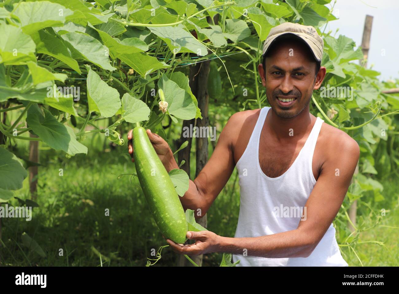 Joyeux fermier asiatique tenant des légumes bien cultivés (gourde de bouteille) dans sa main avec le sourire sur son visage à un champ agricole rural Banque D'Images