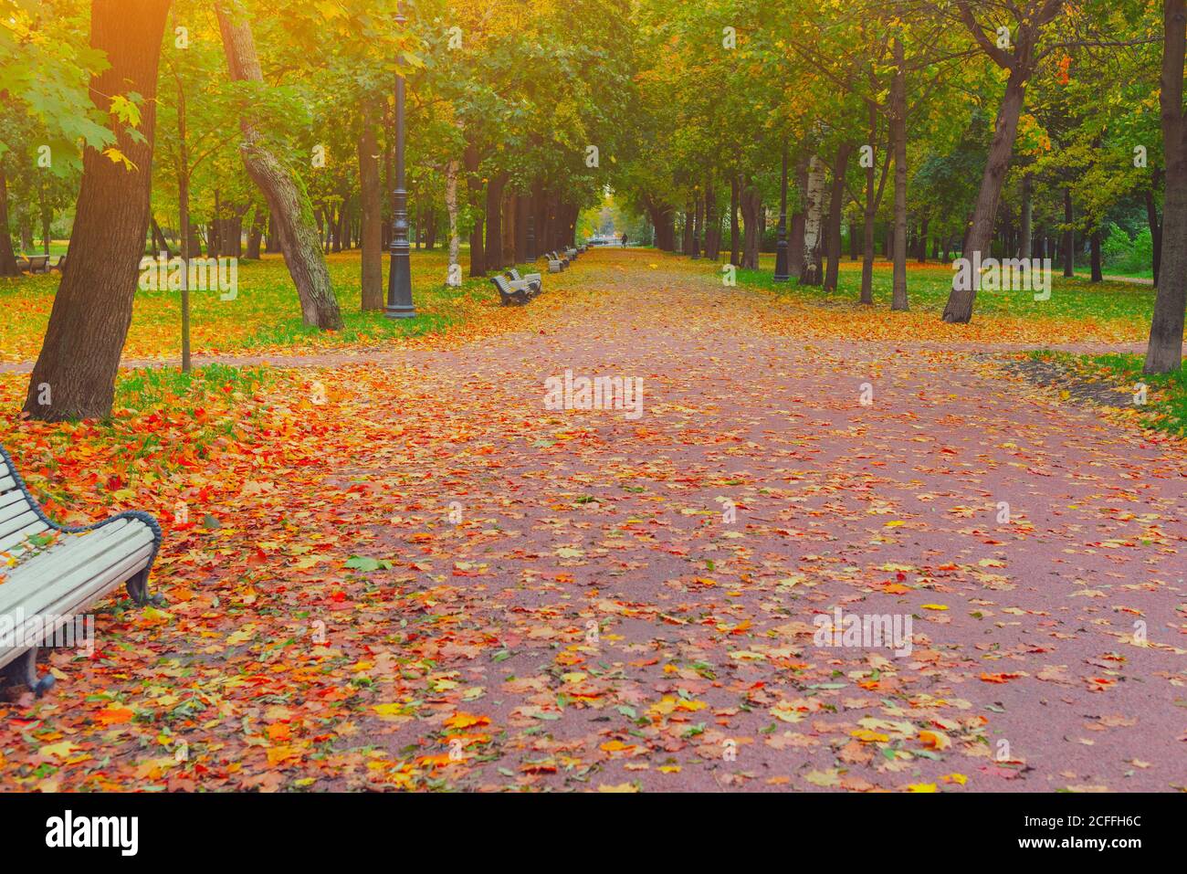 Route de l'allée du parc d'automne dans le paysage de la ville. Les gens marchent sur le sentier dans le parc d'automne avec des feuilles et des arbres le temps d'octobre. Beauté automnale scène d'automne. Banque D'Images