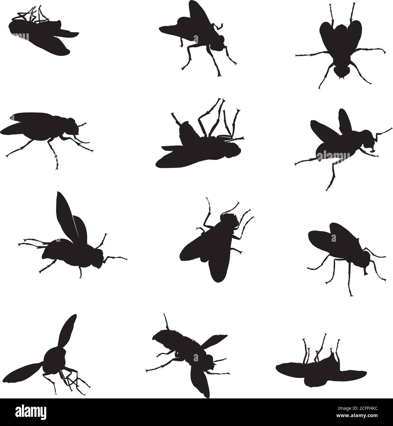 mouche, insecte, diverses poses, mouvements et prétentations de figures, noir, couleur, motif, vecteur, dessin, silhouette, yeux, dessin, symbole Illustration de Vecteur