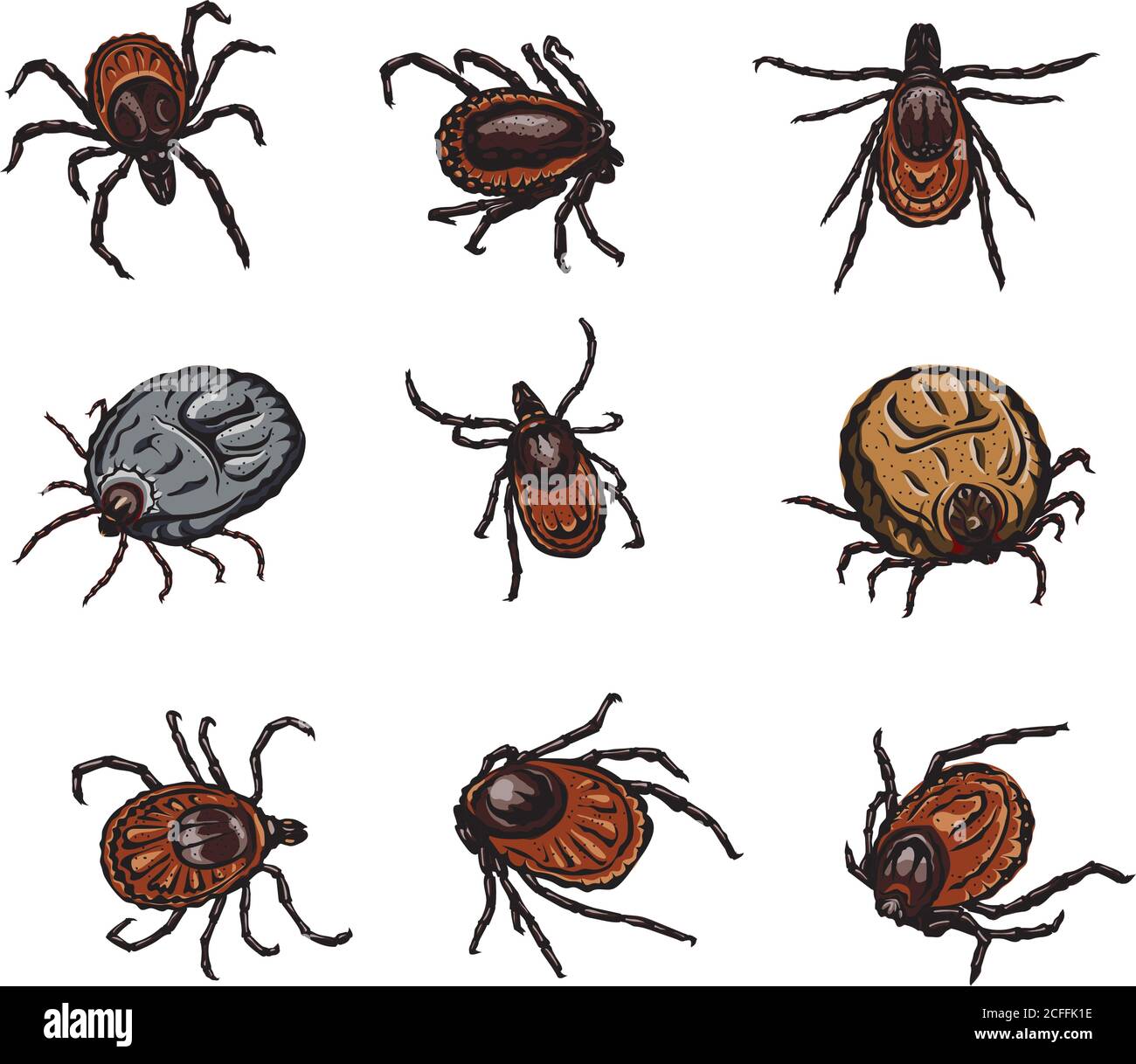 insecte, parasite, vecteur, parasite, dessin, design, image, isolé, illustration, fièvre, symbole, noir, acarien, variantes d'image sous diverses formes, couleur Illustration de Vecteur