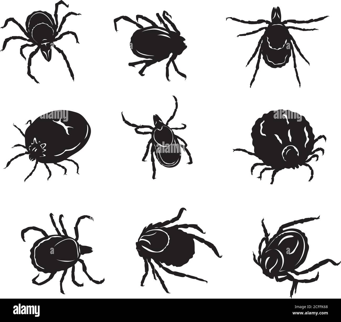 insecte, parasite, vecteur, parasite, dessin, design, image, isolé, illustration, fièvre, symbole, noir, acarien, variantes d'image sous diverses formes, couleur Illustration de Vecteur