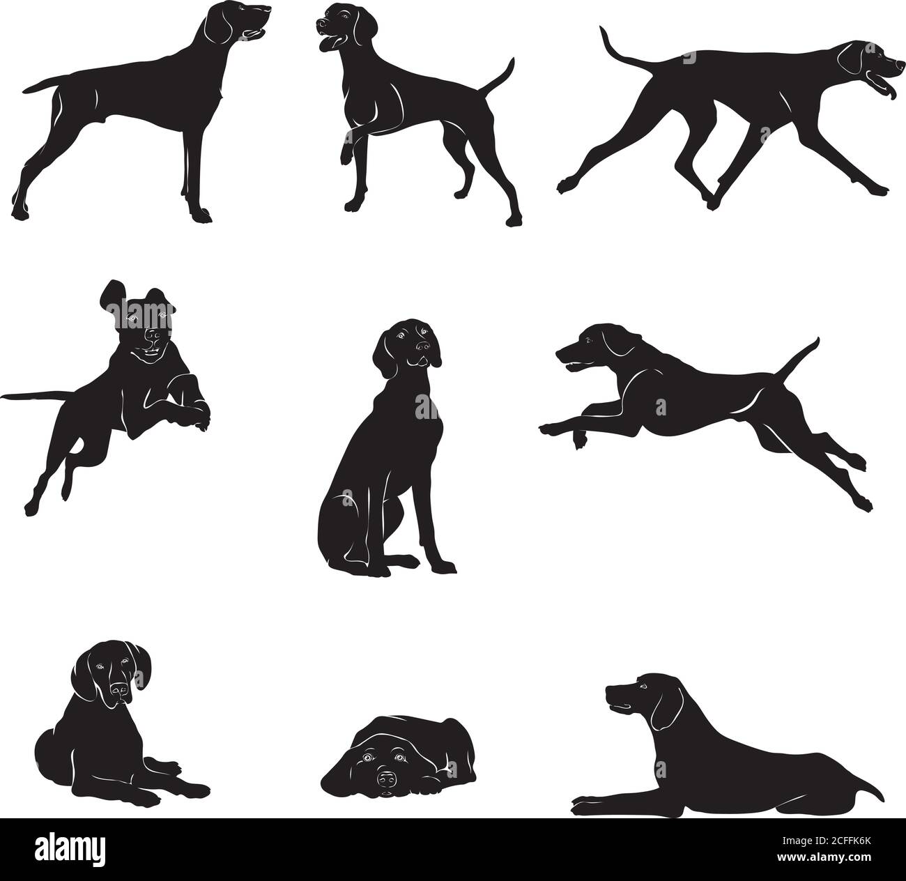 Chien, race, Kurchaar, diverses poses, mouvements et angles de figures, noir, silhouette, set, vecteur, illustration, poses, noir, blanc, poses diverses Illustration de Vecteur