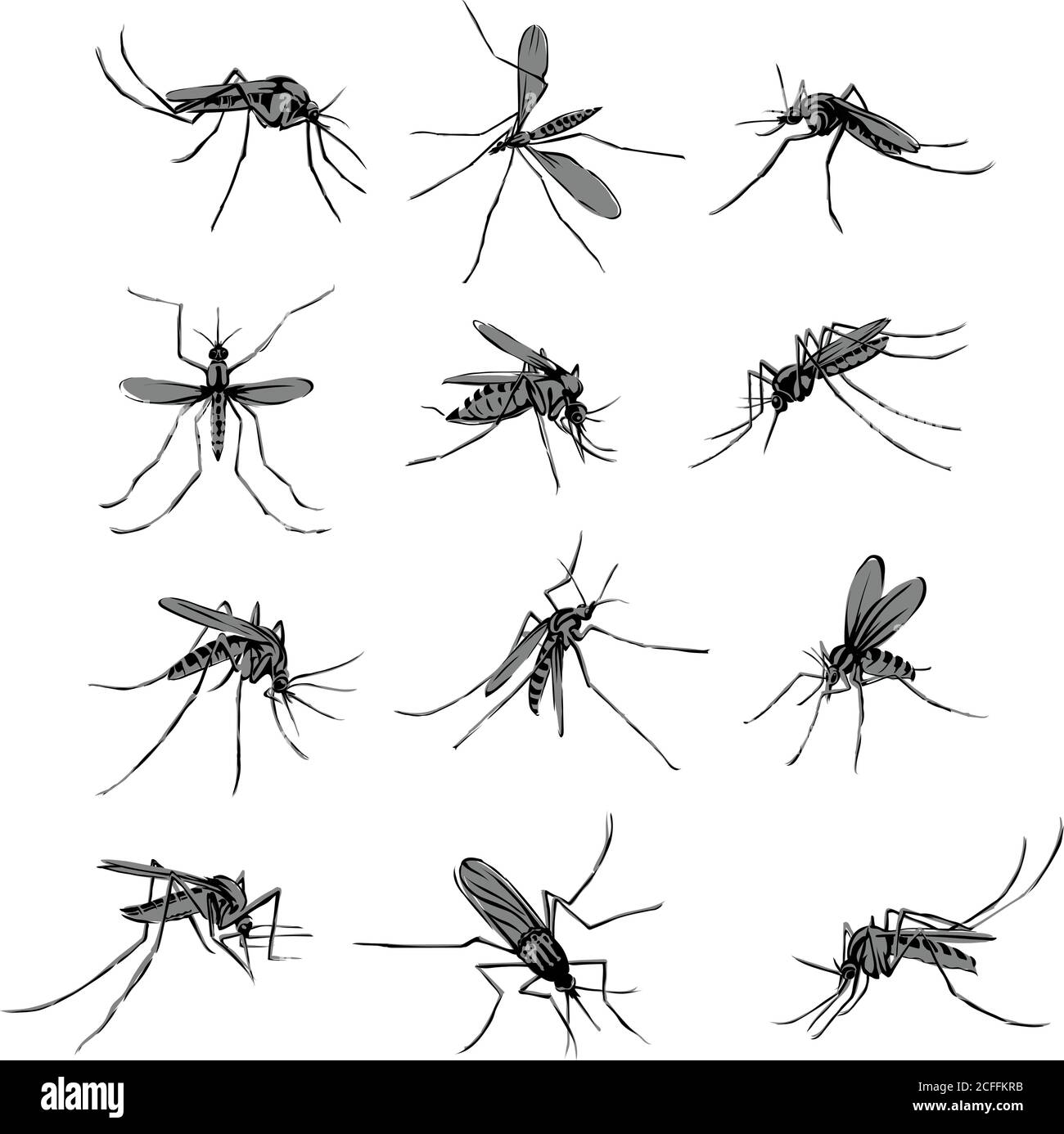 Le moustique, proboscis, morsure, piquant, bourdonnement, bourdonnement, sueur de sang, morsures, paludisme, arthropodes, insecte, diptère, vecteur, silhouette, symbole, noir Illustration de Vecteur