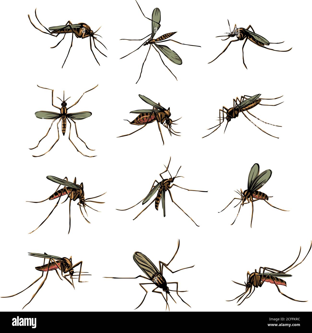 Le moustique, proboscis, morsure, piquant, bourdonnement, bourdonnement, sueur de sang, morsures, paludisme, arthropodes, insecte, diptère, vecteur, silhouette, symbole, noir Illustration de Vecteur