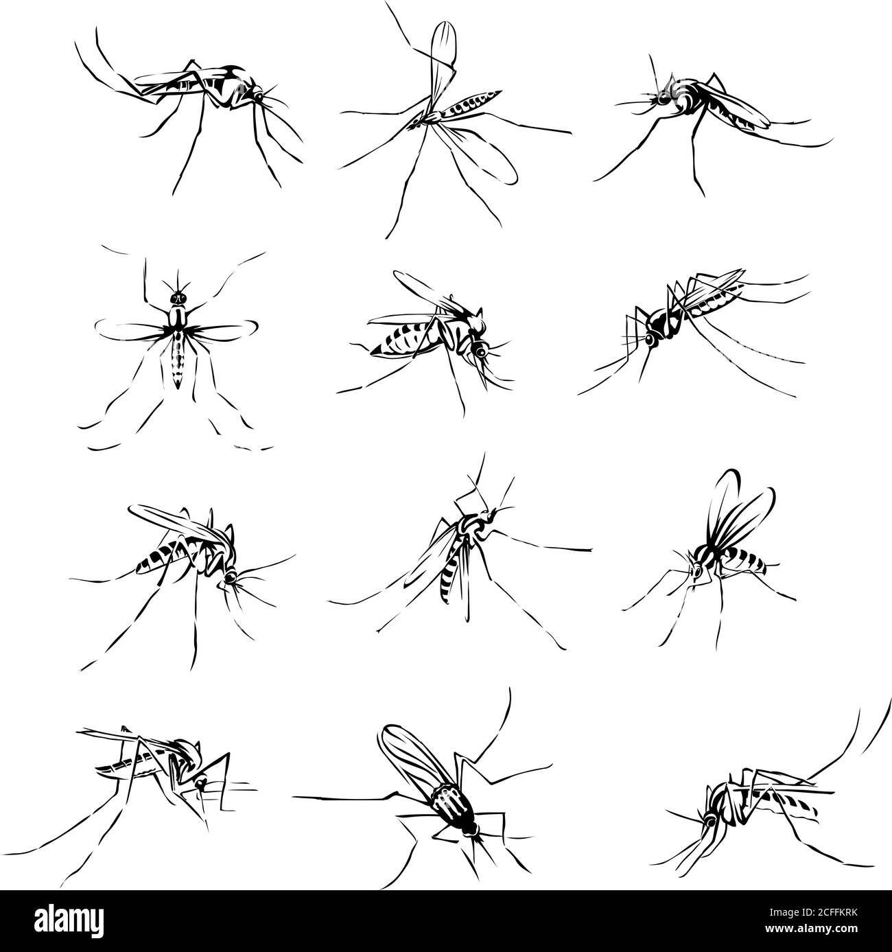 Le moustique, proboscis, morsure, piquant, bourdonnement, bourdonnement, sueur de sang, morsures, paludisme, arthropodes, insecte, diptère, vecteur, silhouette, symbole, noir Illustration de Vecteur