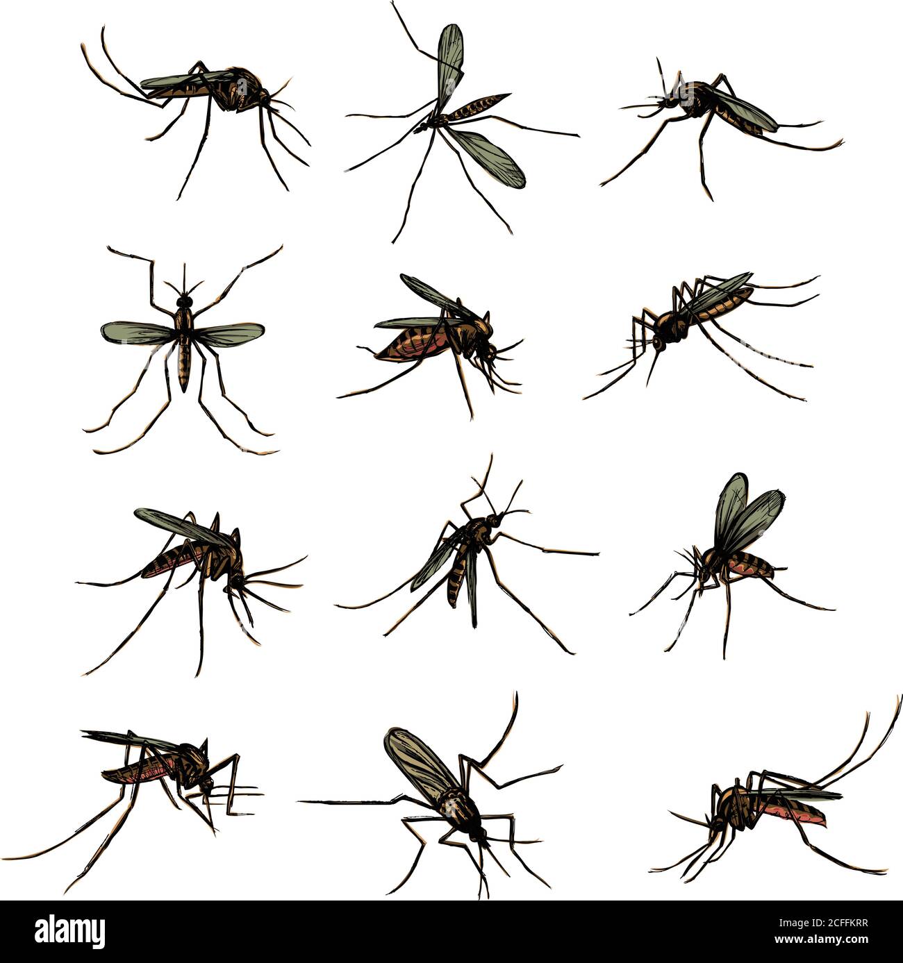Le moustique, proboscis, morsure, piquant, bourdonnement, bourdonnement, sueur de sang, morsures, paludisme, arthropodes, insecte, diptère, vecteur, silhouette, symbole, noir Illustration de Vecteur