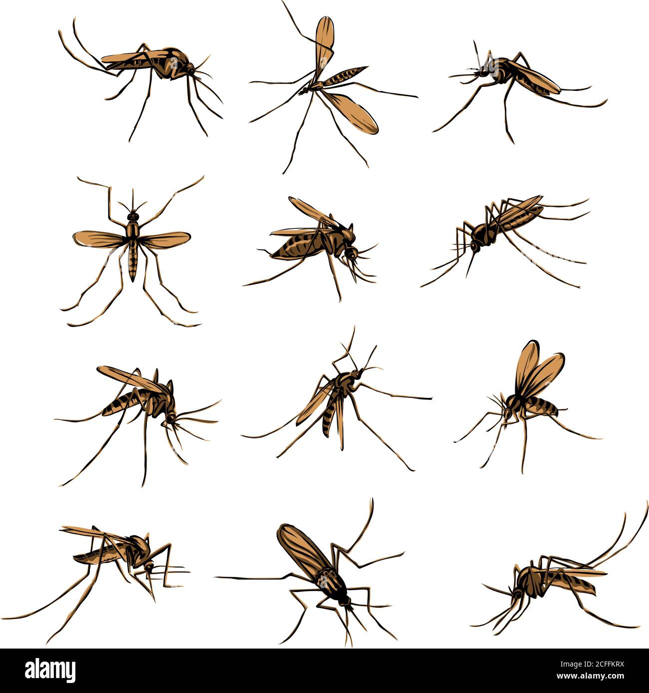 Le moustique, proboscis, morsure, piquant, bourdonnement, bourdonnement, sueur de sang, morsures, paludisme, arthropodes, insecte, diptère, vecteur, silhouette, symbole, noir Illustration de Vecteur
