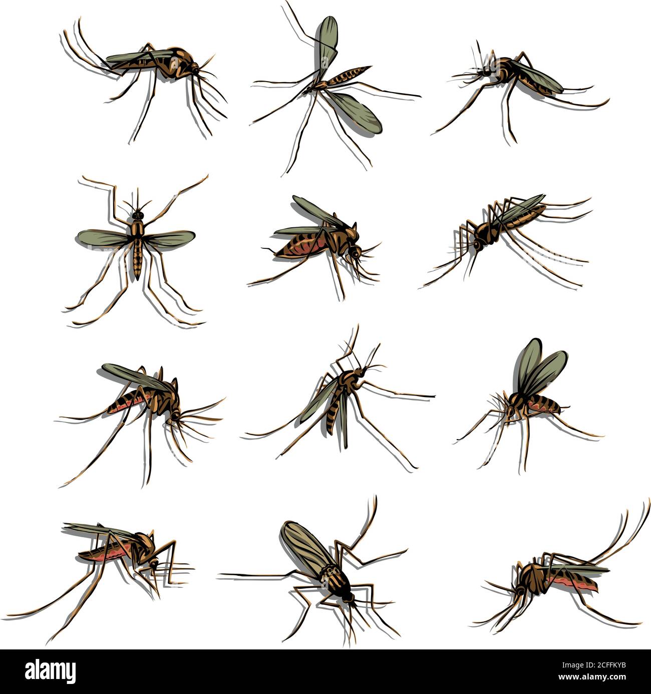 Le moustique, proboscis, morsure, piquant, bourdonnement, bourdonnement, sueur de sang, morsures, paludisme, arthropodes, insecte, diptère, vecteur, silhouette, symbole, noir Illustration de Vecteur