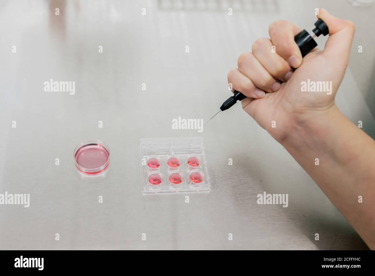 De plus, médecin anonyme utilisant l'injecteur pour bien remplir plaque avec liquide rouge pendant le travail dans le laboratoire moderne de clinique Banque D'Images