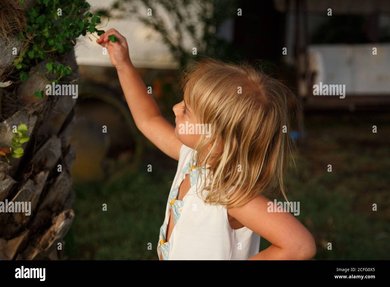 Vue latérale de la petite fille gardant la main à la taille et toucher les petites feuilles de l'arbre tout en étant debout dans un jardin paisible Banque D'Images