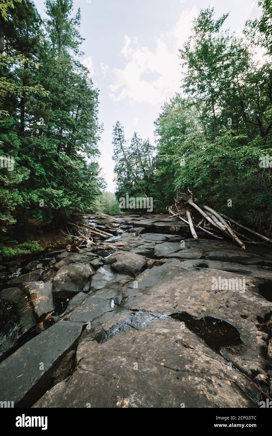 Ruisseau de montagne qui traverse la forêt dans le parc national de la Mauricie, au Québec, Canada Banque D'Images