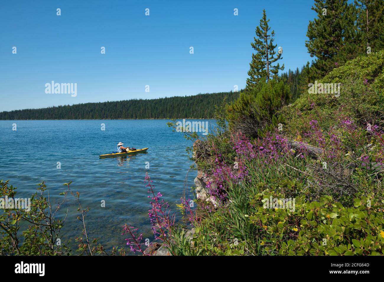 États-Unis ; Nord-Ouest du Pacifique ; Oregon, la Pine, Newberry National Volcanic Monument, Paulina Lake, Banque D'Images