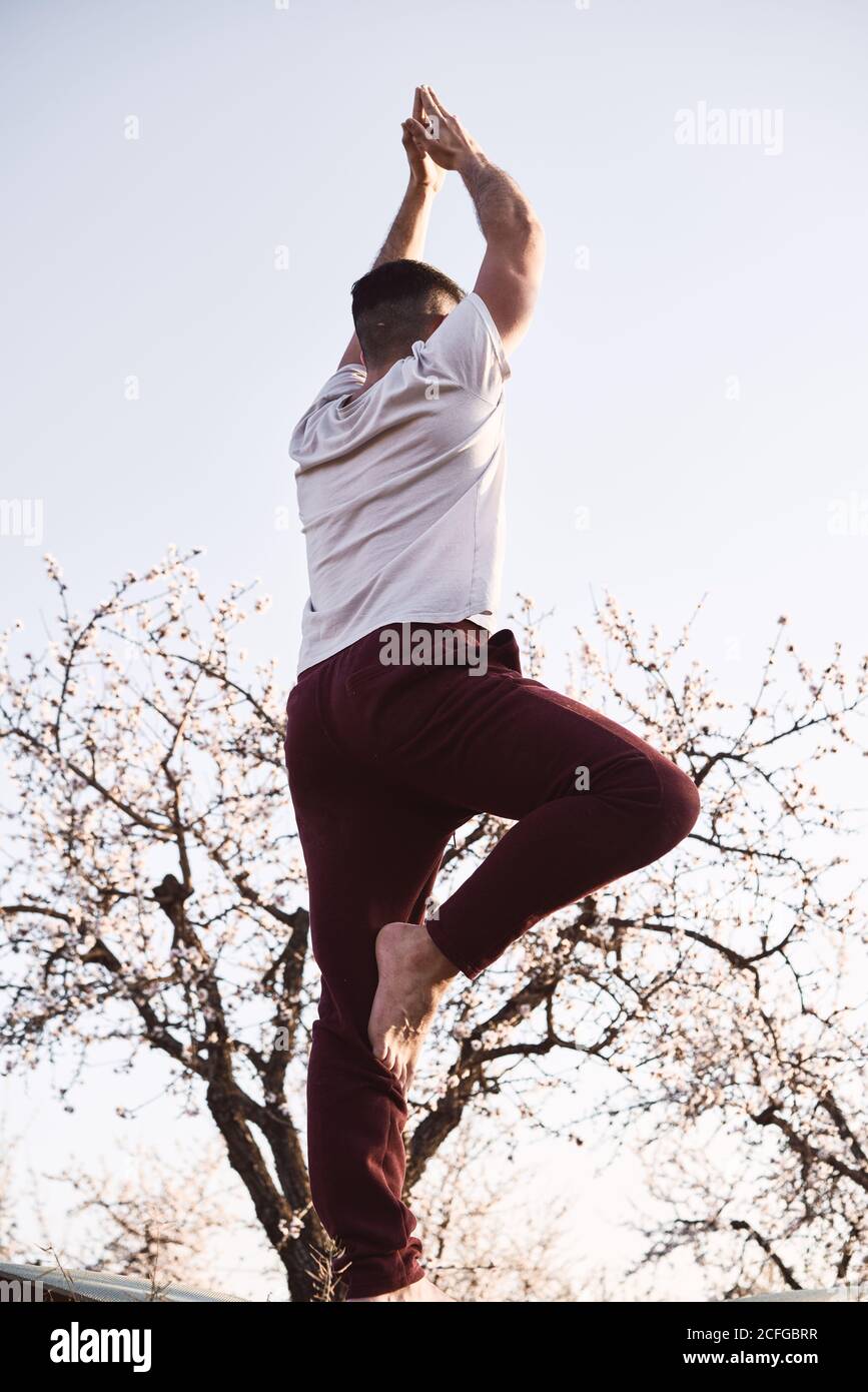 D'en-dessous, un homme méconnaissable fait du yoga contre un magnifique arbre en fleurs et ciel sans nuages le jour ensoleillé dans le jardin de printemps Banque D'Images