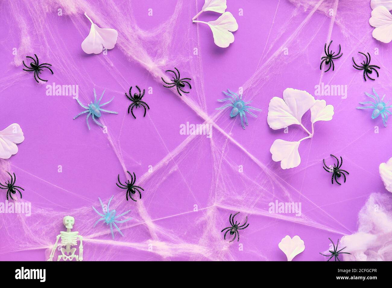 Arrière-plan créatif pour Halloween avec feuilles de ginkgo blanches, toile d'araignée et araignées noires sur papier néon violet vif. Plat, vue de dessus, arrière-plan tendance Banque D'Images
