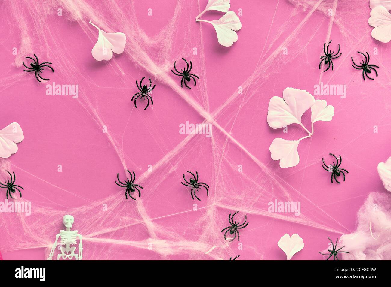 Arrière-plan d'Halloween créatif, plat avec feuilles de ginkgo blanches, toile d'araignée et araignées noires sur papier rose. Banque D'Images