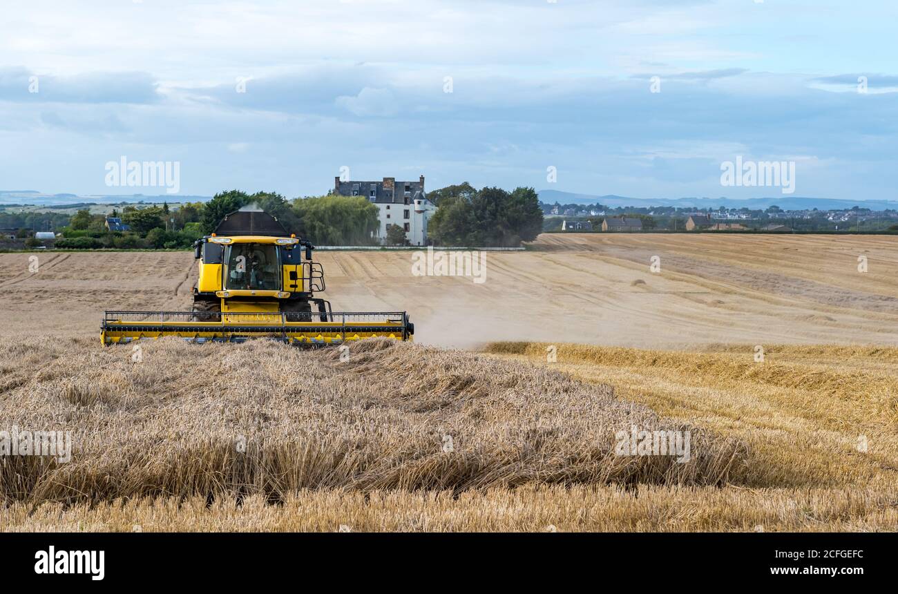 East Lothian, Écosse, Royaume-Uni, 5 septembre 2020. Météo au Royaume-Uni : récolte finale des céréales. Les derniers champs de céréales sont récoltés dans cette partie du comté. Un champ de blé à côté de Ballencrieff House avec une moissonneuse-batteuse New Holland Banque D'Images