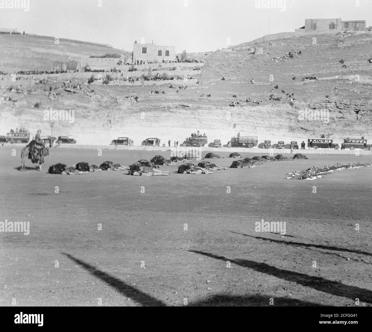 Histoire du Moyen-Orient - visite du prince Emir Saoud à Emir Abdullah à Amman Transjordan. Le corps de chameaux de la Légion arabe fore des chameaux à genoux sur le sol Banque D'Images