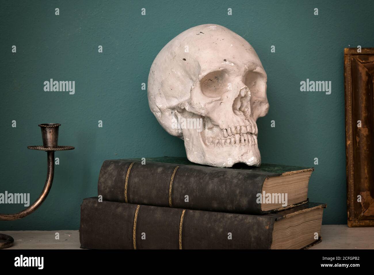 Réplique d'un crâne humain sur deux grands livres vintage avec des épines de cuir contre un mur intérieur vert Banque D'Images
