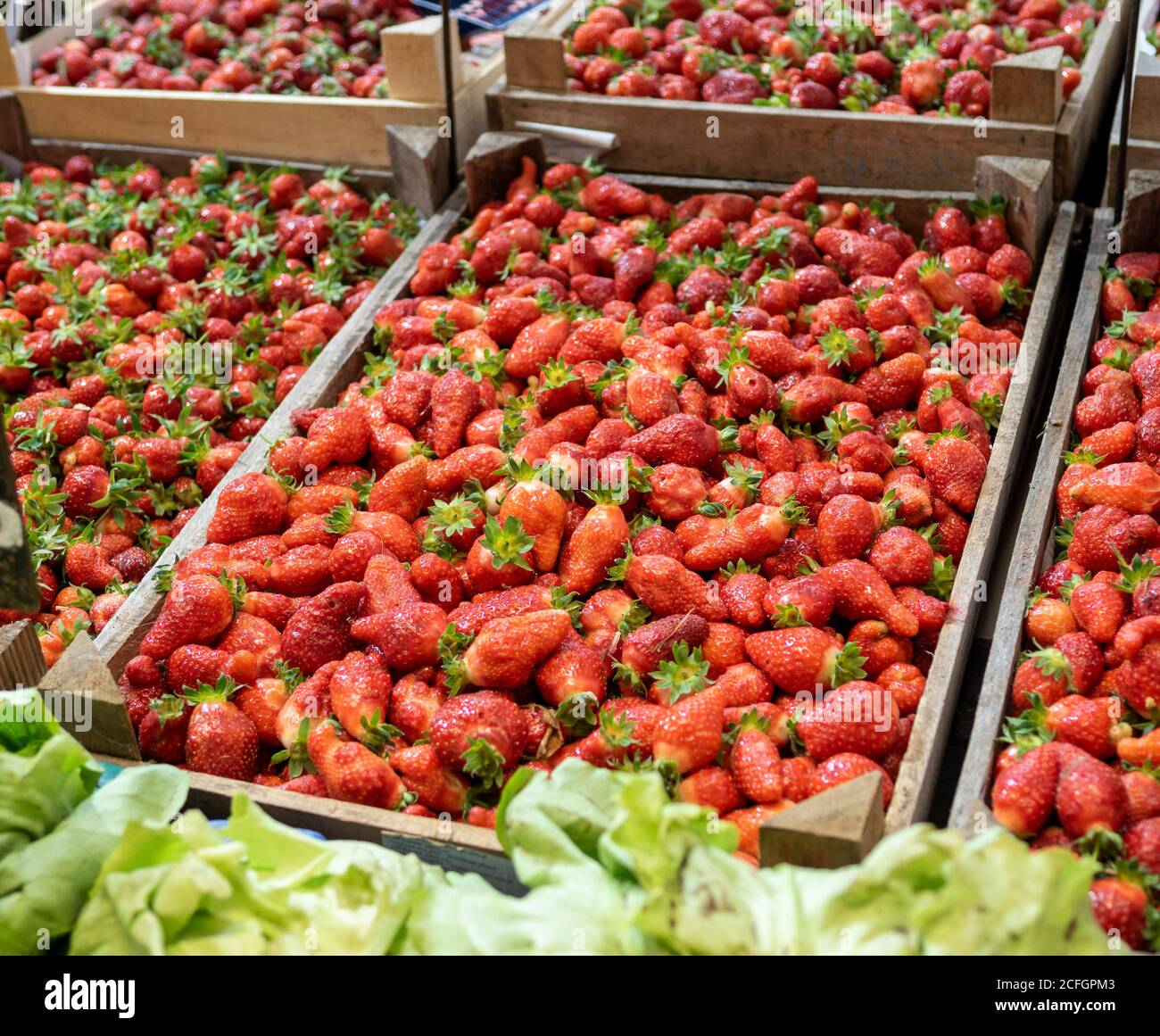 Beaucoup et beaucoup de fraises: Grands plats en bois de fraises hongroises à vendre dans la Grande salle du marché dans le centre de Budapest. Banque D'Images