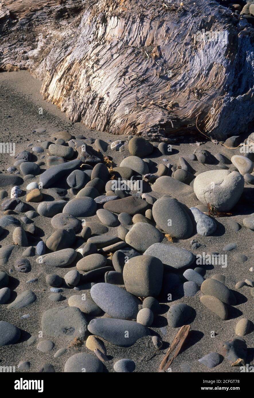 First Beach, la Push, réserve indienne de Quillayute, Washington Banque D'Images