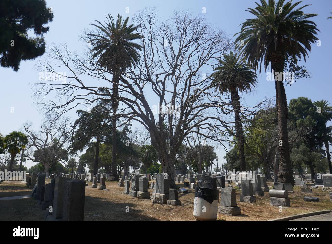 Los Angeles, Californie, États-Unis 4 septembre 2020 UNE vue générale de l'atmosphère au cimetière Angelus-Rosedale le 4 septembre 2020 à Los Angeles, Californie, États-Unis. Photo par Barry King/Alay stock photo Banque D'Images