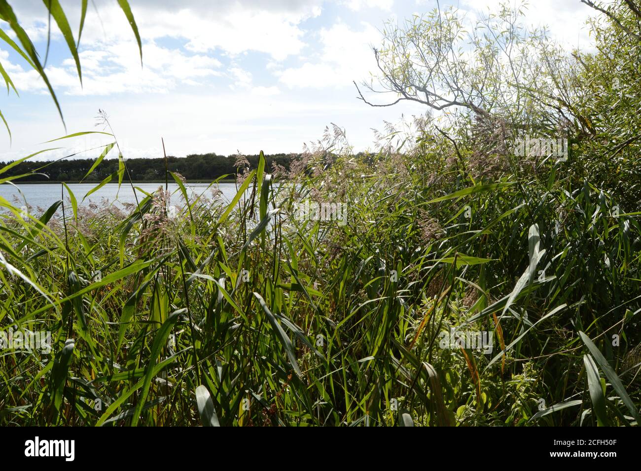 Kilconquihar Loch, Fife Banque D'Images