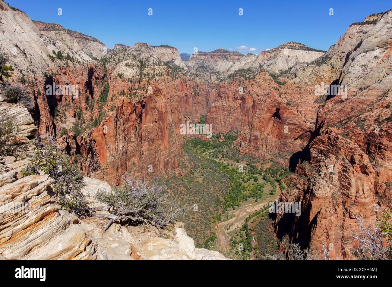 Vue sur le canyon de Zion via vue sur le Canyon Banque D'Images