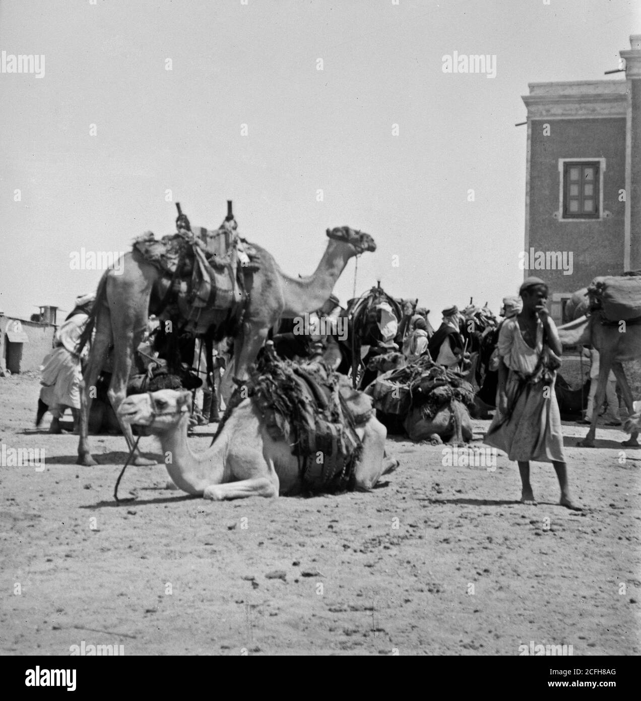 Légende originale: Sinai - lieu: Sinai Egypt ca. 1898-1946 Banque D'Images