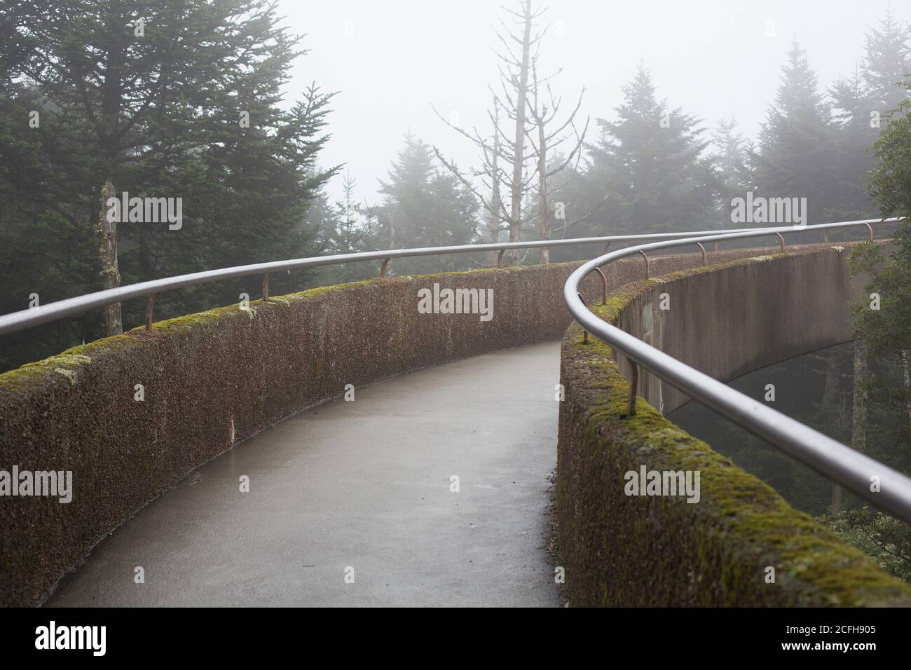 Le chemin en spirale vers la tour d'observation du dôme de Clingman, dans le parc national des Great Smoky Mountains, aux États-Unis. Banque D'Images