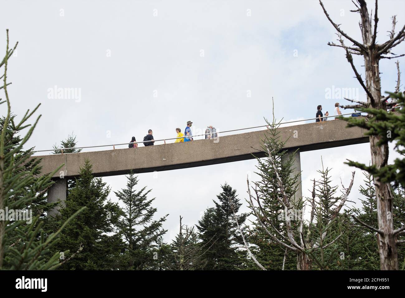 Le chemin en spirale vers la tour d'observation du dôme de Clingman, dans le parc national des Great Smoky Mountains, aux États-Unis. Banque D'Images