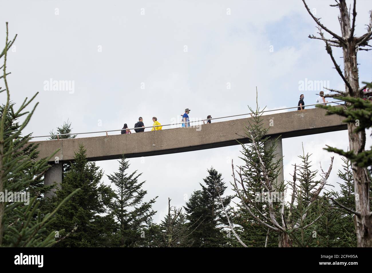 Le chemin en spirale vers la tour d'observation du dôme de Clingman, dans le parc national des Great Smoky Mountains, aux États-Unis. Banque D'Images