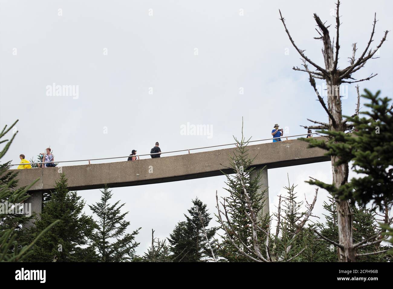 Le chemin en spirale vers la tour d'observation du dôme de Clingman, dans le parc national des Great Smoky Mountains, aux États-Unis. Banque D'Images