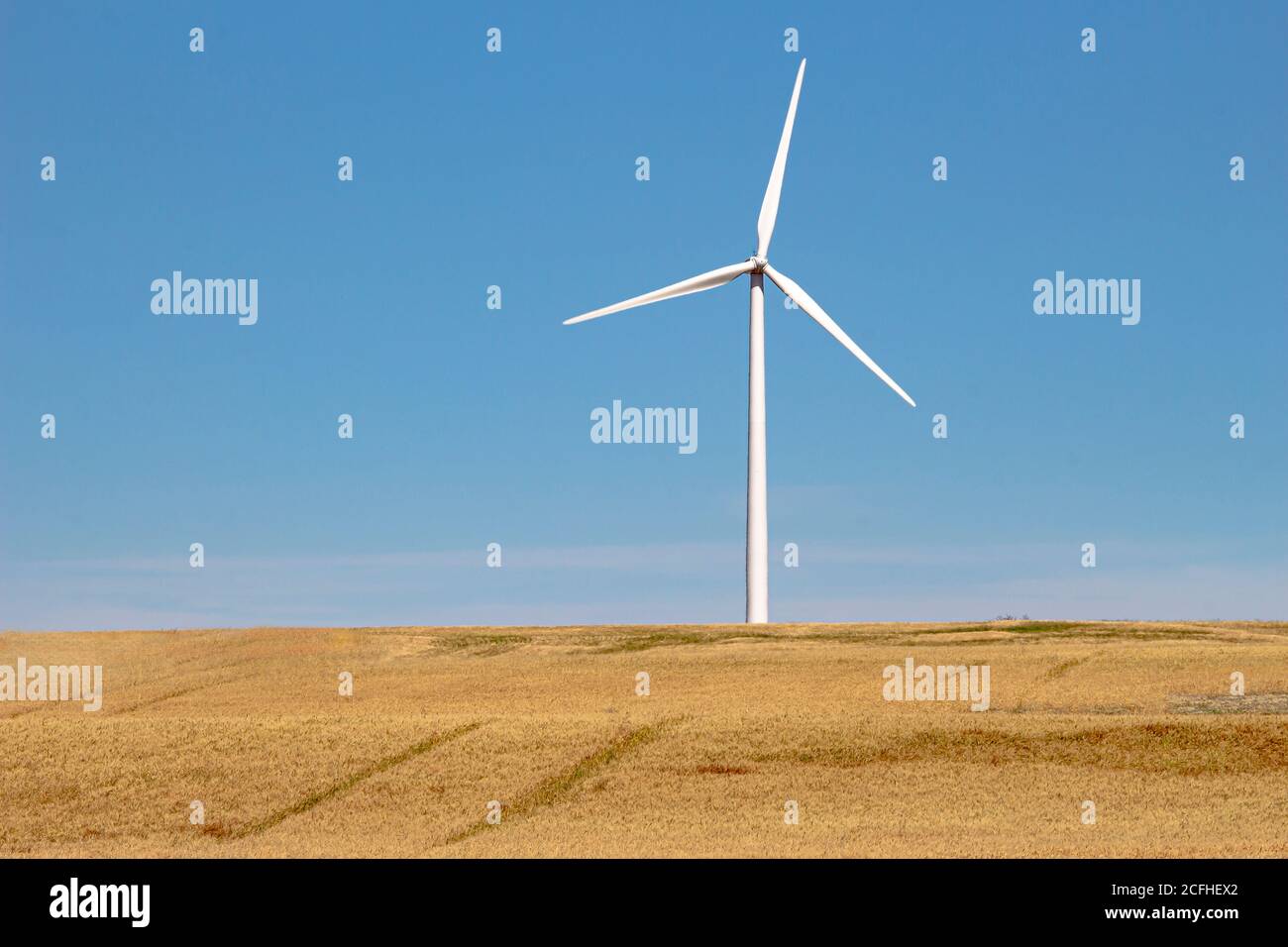 Un gerateur d'électricité à éolienne, source d'énergie renouvelable sur un champ de ferme. Banque D'Images