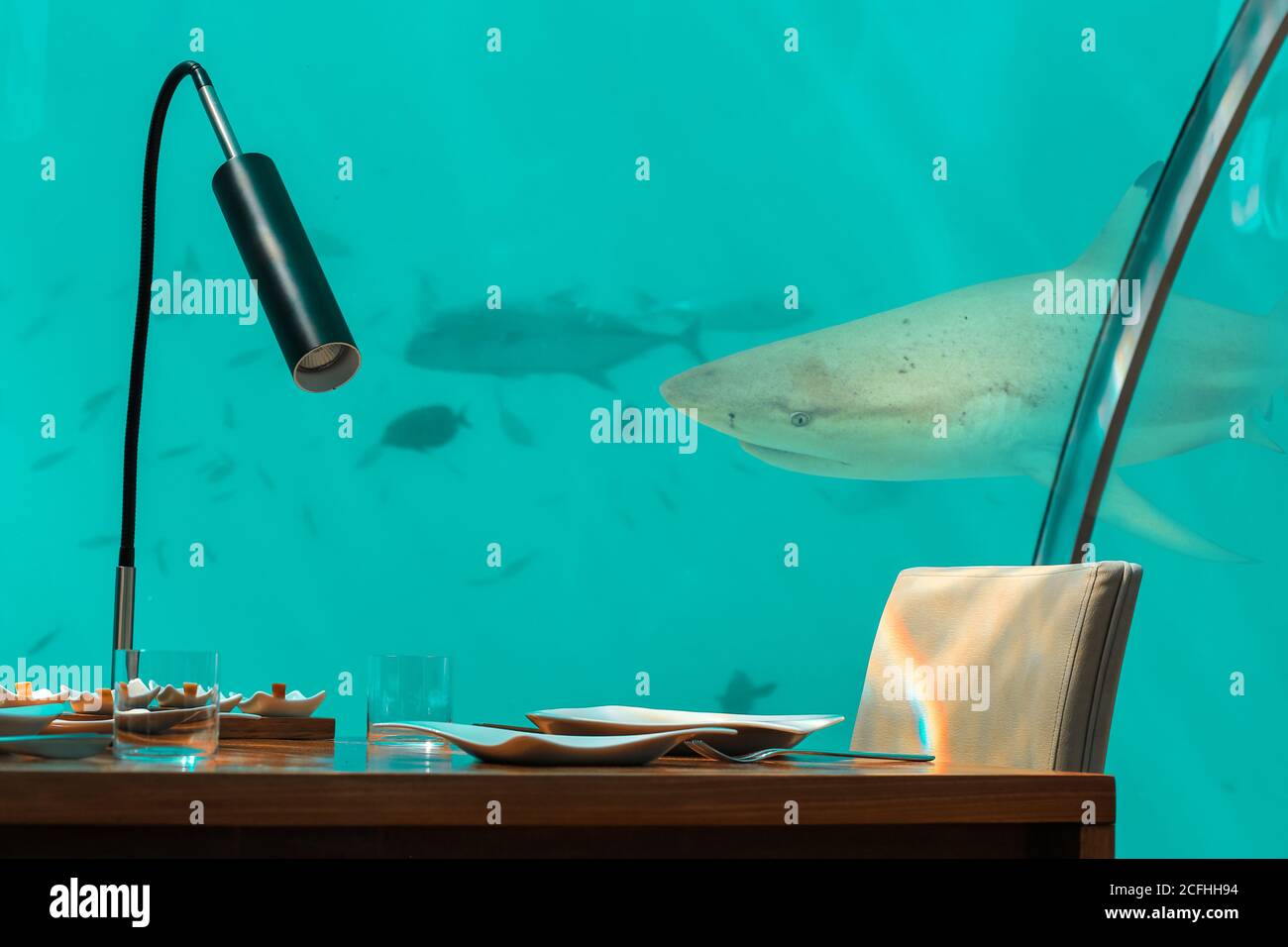 Restaurant Sous Marin Aux Maldives Voyage Exotique Tropical Requin Derriere Le Verre Photo Stock Alamy Restaurant Sous Marin Aux Maldives Voyage Exotique Tropical Requin Derriere Le Verre Photo Stock Alamy