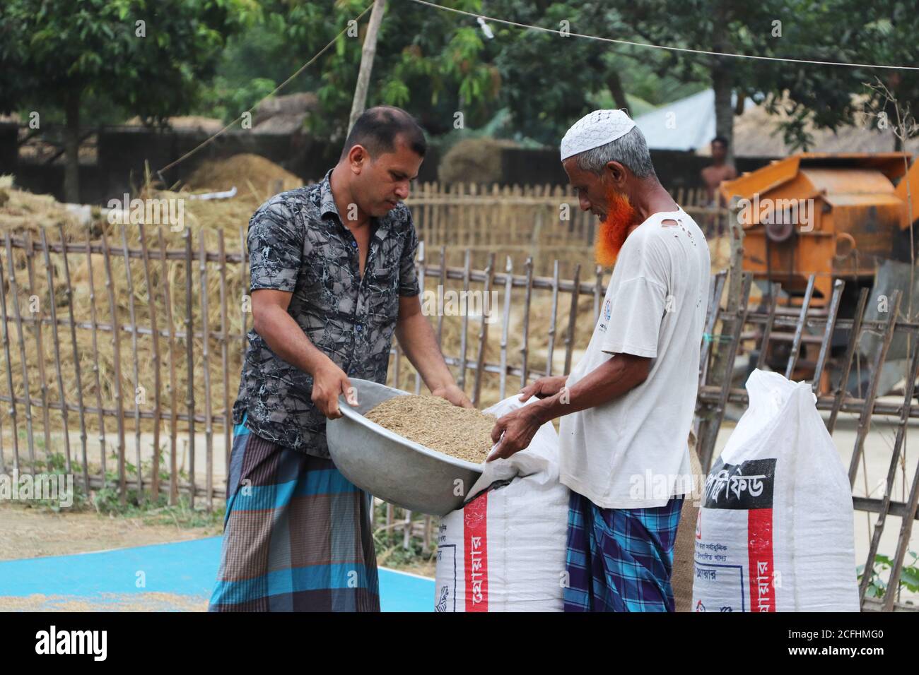 Deux agriculteurs remplissant un sac d'un bol de céréales de riz récoltées dans une ferme de la campagne de Bogura, au Bangladesh Banque D'Images