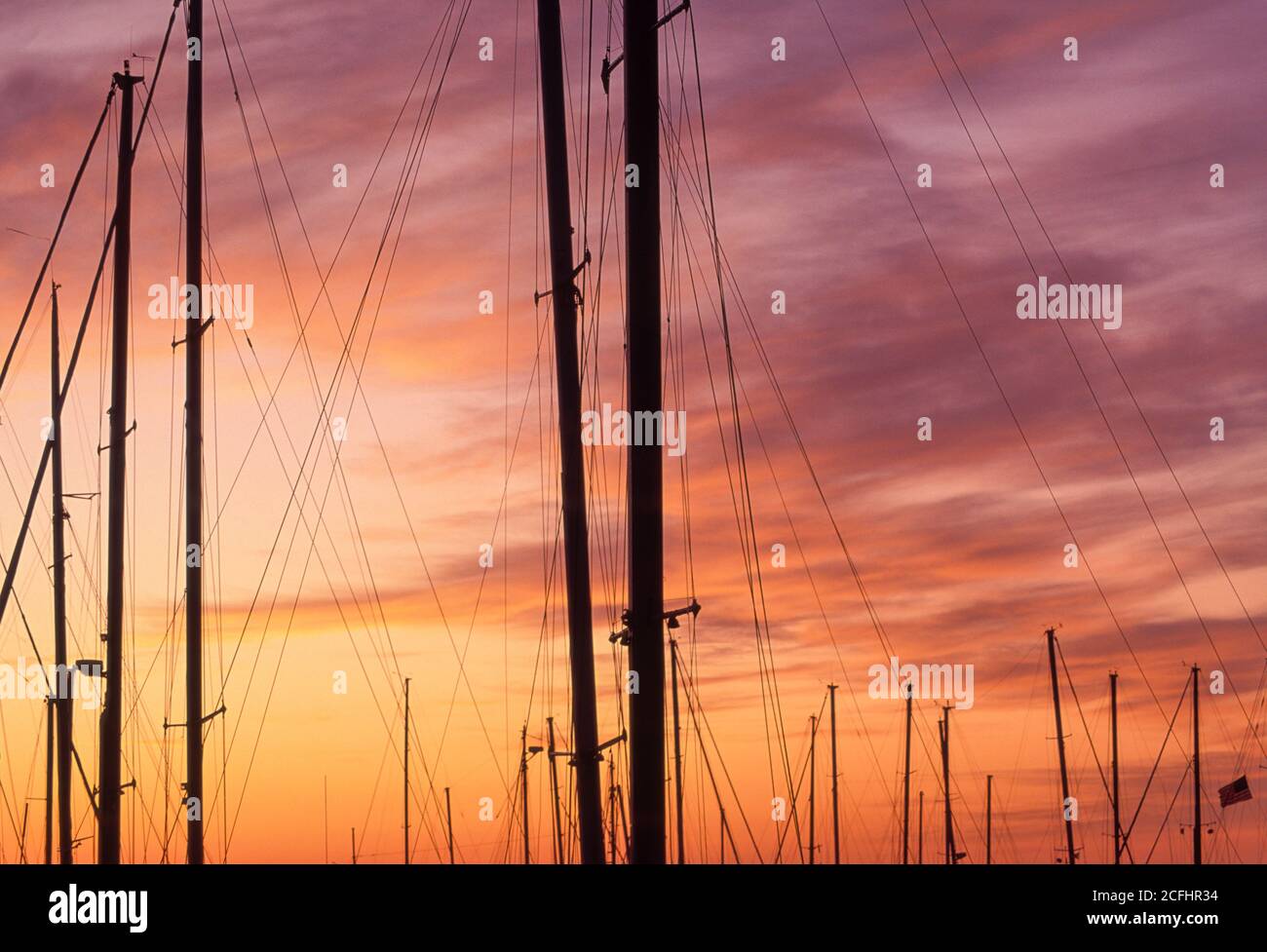 Voiliers au coucher du soleil, Shilshole Bay Marina, Seattle, Washington Etats-Unis Banque D'Images