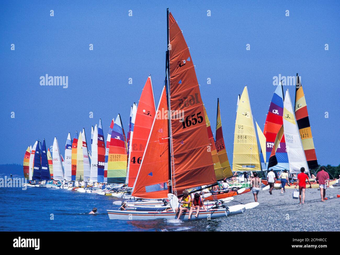 Des bateaux à voile en catamaran bordent le littoral de Puget Sound au Golden Gardens Park, Seattle, Washington, États-Unis Banque D'Images