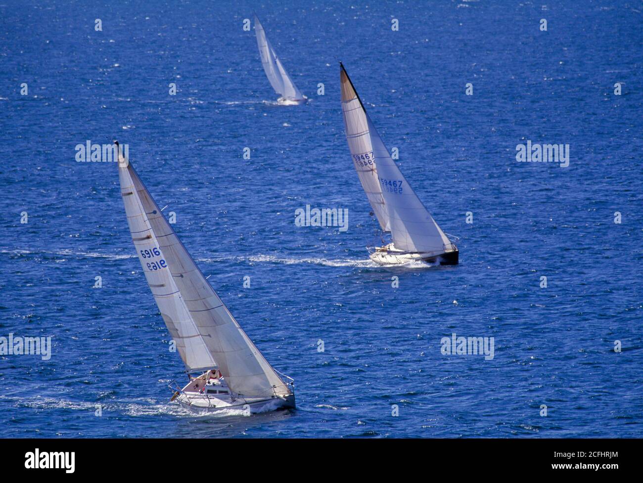 Voilier sur Puget Sound, Seattle, Washington, États-Unis Banque D'Images
