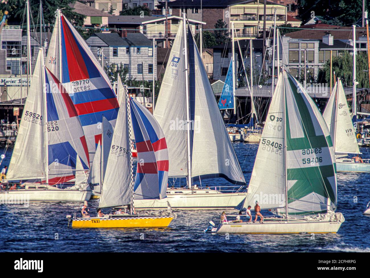 Duck Dodge Voilier course sur Lake Union, Seattle, Washington Etats-Unis Banque D'Images