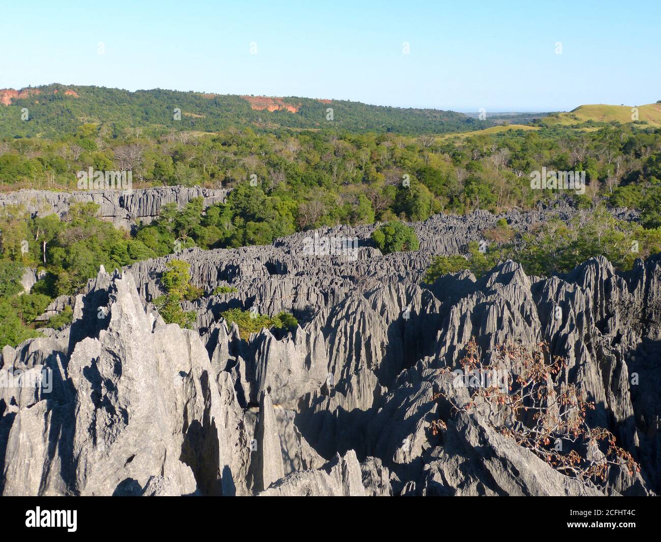 Tsingy de Bemaraha nature strict réserve à Madagascar. Spectaculaire forêt de pierres minérales. C'est un labyrinthe d'aiguilles de calcaire. Rochers, grottes, canyon. Banque D'Images