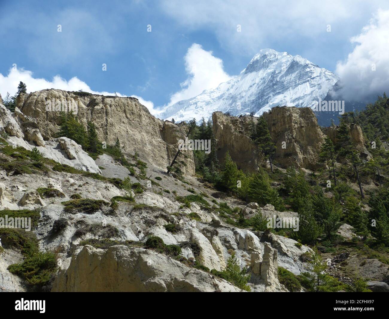 Mystérieuse nature tibétaine à Mustang, au Népal. Vue incroyable sur les rochers blancs et les conifères verts. Montagne enneigée Nilgiri. Magnifique montagne himalayenne Banque D'Images